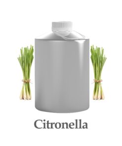 wholesale citronella