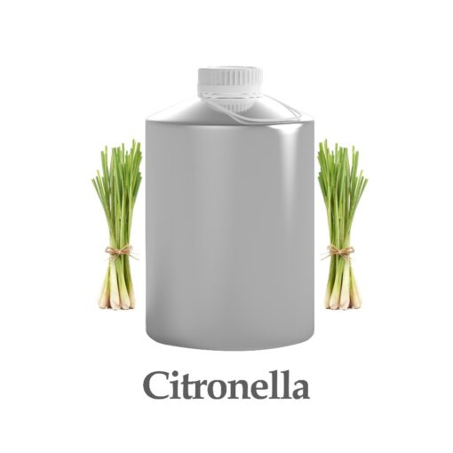 wholesale citronella