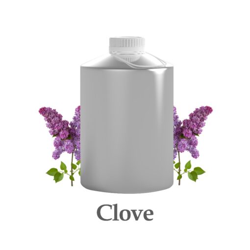 wholesale clove oil