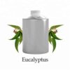 wholesale eucalyptus oil