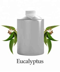 wholesale eucalyptus oil