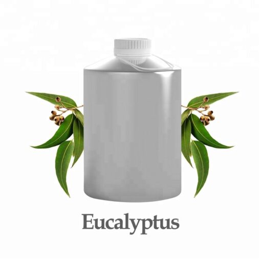 wholesale eucalyptus oil