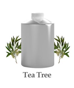 wholesale tea tree oil