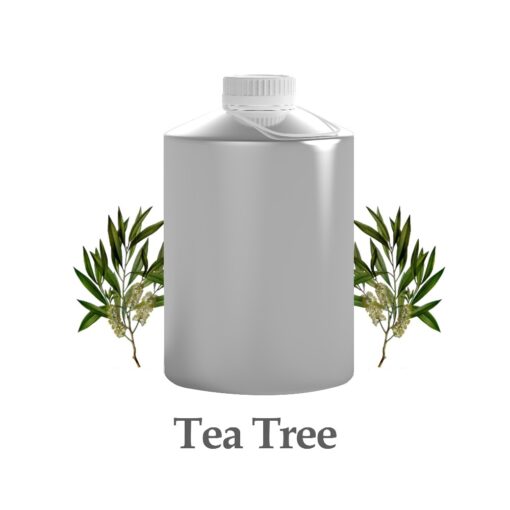 wholesale tea tree oil