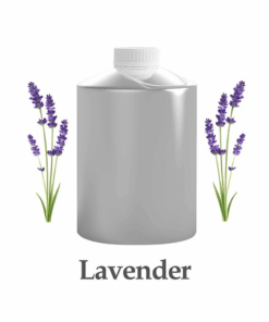 Wholesale Lavender Essential Oil