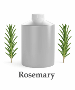 Wholesale Rosemary Essential Oil